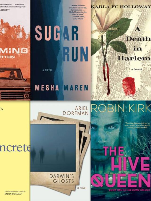 5 most popular contemporary fiction writers in the United States